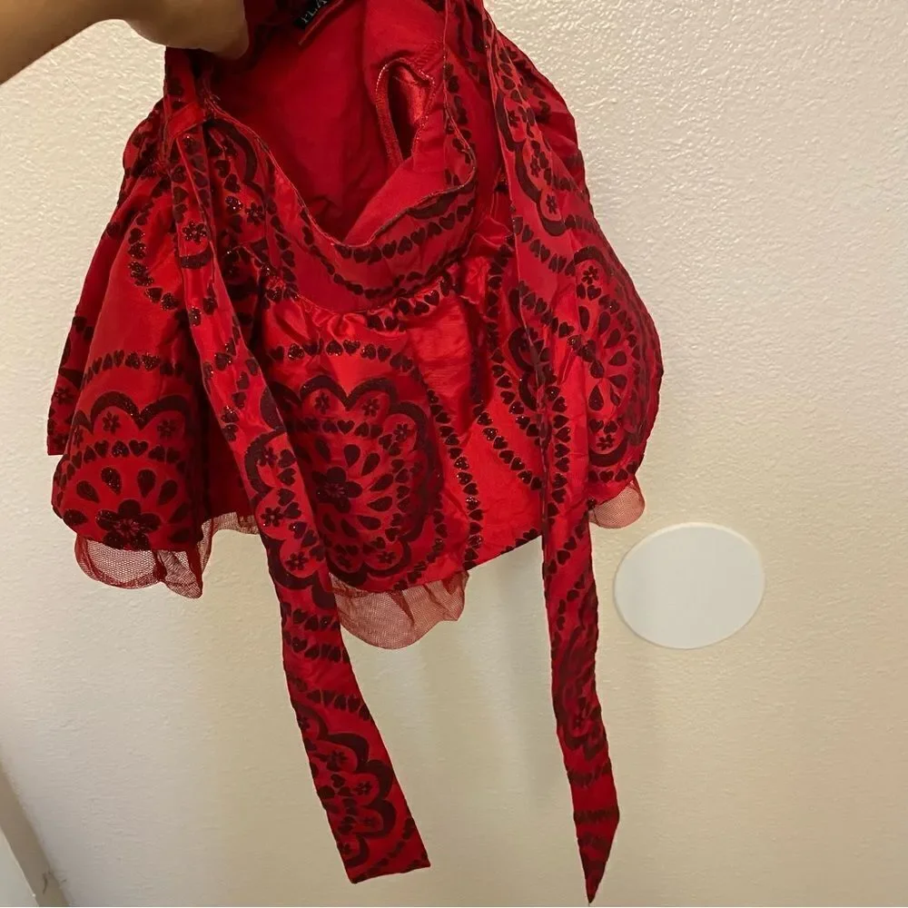 The Childrens Place burgundy velvet burnout red tulle skirt toddler baby 12mo